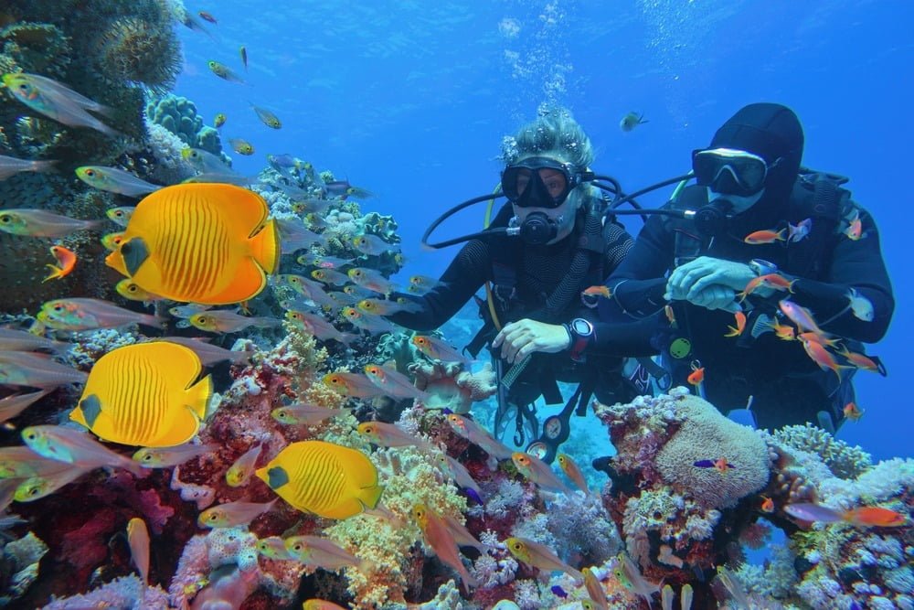  Diving in the Red Sea: Exploring the Hidden Wonders - Essential safety precautions for diving in the Red Sea