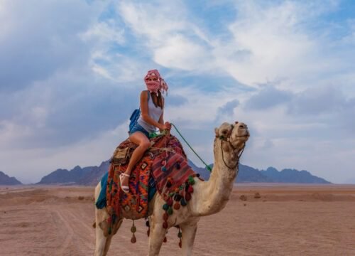 Desert Quad Biking